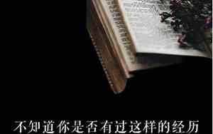 没有人理的句子有哪些
