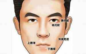 算命面相图解大全