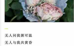 两年爱情的短句子大全