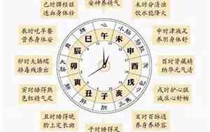 子时是什么时候几点钟
