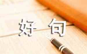 爱生活的句子短句