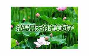 优美的夏天句子大全
