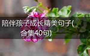 形容物品陪伴成长的句子简短