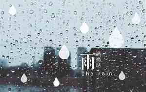 下暴雨后的句子有哪些