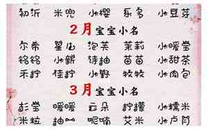 猎人取名字大全