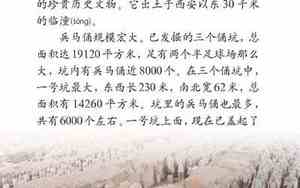 仿照课文描写秦兵马俑外貌的句子怎么写