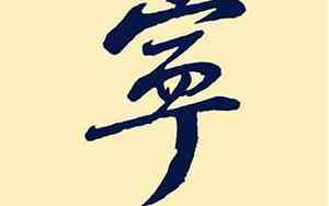 宁姓男孩取名100分的