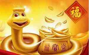 2013年属蛇的是什么命金木水火土