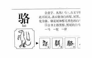 骆字取名寓意及含义