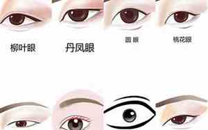 女子眼型面相解析大全
