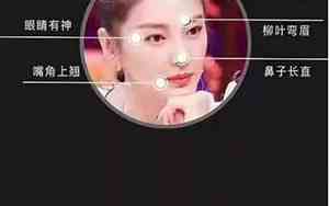 面相测试明星脸型图片