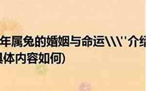 87年兔女人面相分析