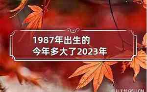 1977年是什么命五行属什么命