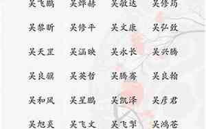 男孩取名姓吴带远字的名字