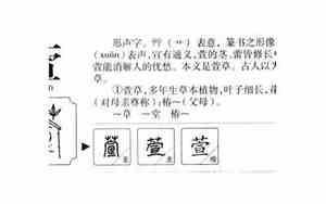 萱字取名好不好听