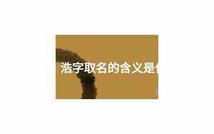 浩字取名的含义是什么200字右左