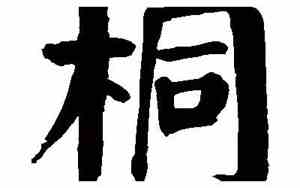 桐字取名好吗男孩