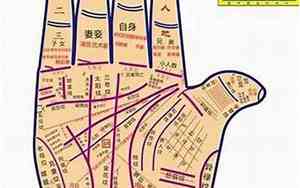 面相算命扫一扫