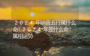 2024年是什么命五行属什么命