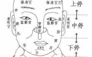 面相免费测试