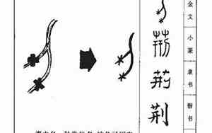 荆字取名吉利吗