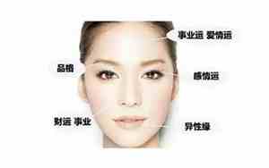 背井离乡的命好吗