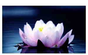 佛说面相很差的人