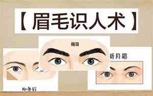 眉毛生的好