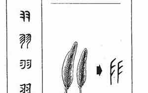 羽的意思在名字里含义