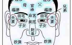 古代著名面相大师