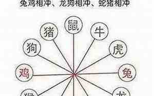 虎相冲相克的生肖是什么