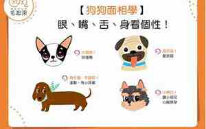 狗狗眼女生面相