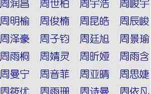 起名字周文什么好听