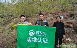 惠农网和一亩田哪个好好在哪儿