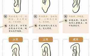 耳门大的人命运好吗
