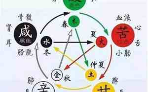 面相中的阴阳理论有哪些