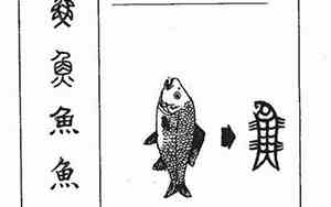 鱼字取名的大忌