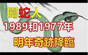 2013年的蛇是什么命