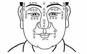 面相看脸上有青筋人的命运