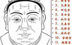 面相看命宫实例详解大全