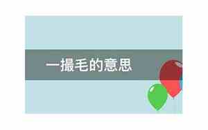 一撮毛的意思是什么