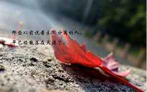 表示后悔的带字图片唯美句子简短
