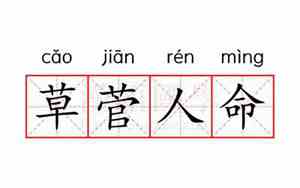 草菅人命的拼音和意思