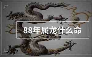 1988属龙是什么命金木水火土
