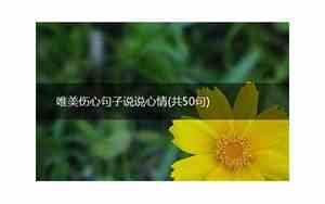 伤心句子评论劝说短句