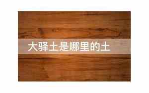 大驿土是哪里的土?是什么意思?