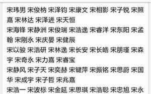 宋姓男孩取名100分