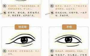 上眼睑覆盖下眼睑