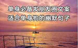 很霸气的单身句子搞笑