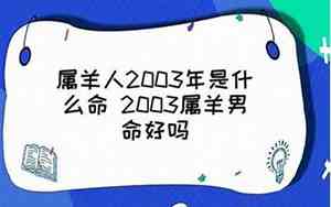 2003年是什么命金木水火土